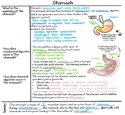 Revision 1